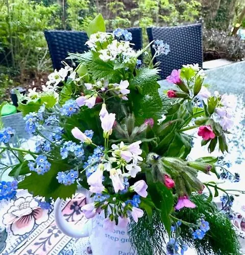 Bed & Breakfast Le Mouton Bleu Accous